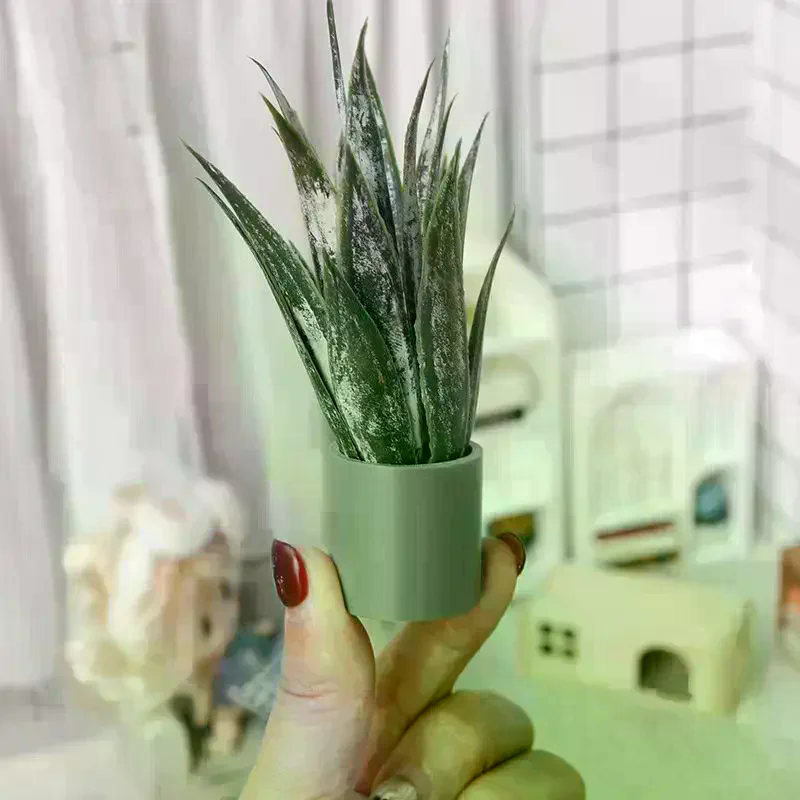 Dollhouse Decor Mini Aloe Vera - Aloe Vera Pot のレビューと価格
