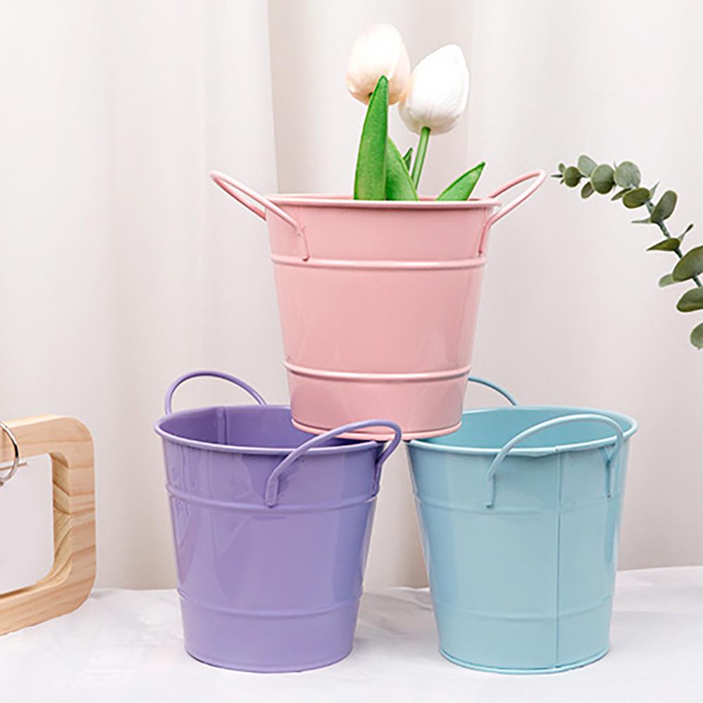 Flowerpot Candy Colored Iron F - Pilea Peperomioides のレビューと価格