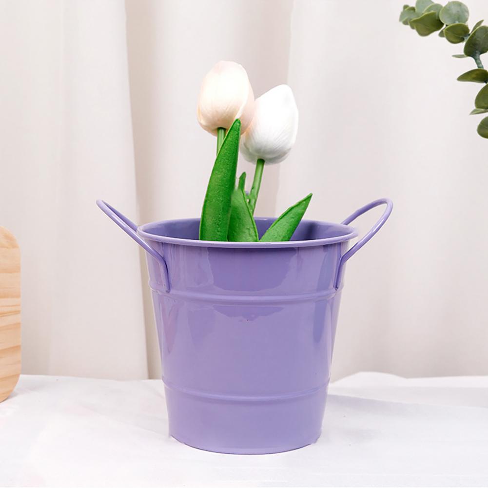 Flowerpot Candy Colored Iron F - Pilea Peperomioides のレビューと価格