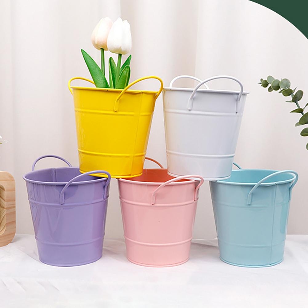 Flowerpot Candy Colored Iron F - Pilea Peperomioides のレビューと価格
