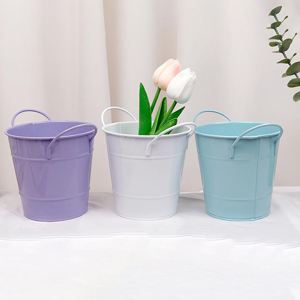 Flowerpot Candy Colored Iron F - Pilea Peperomioides のレビューと価格