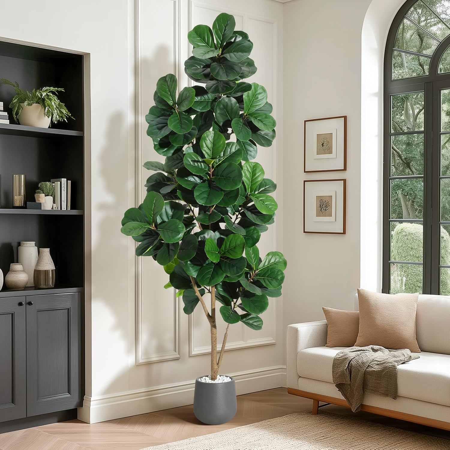 4FT/5FT/6FT/7FT Fiddle Leaf Fi - Ficus Lyrata Tree のレビューと価格