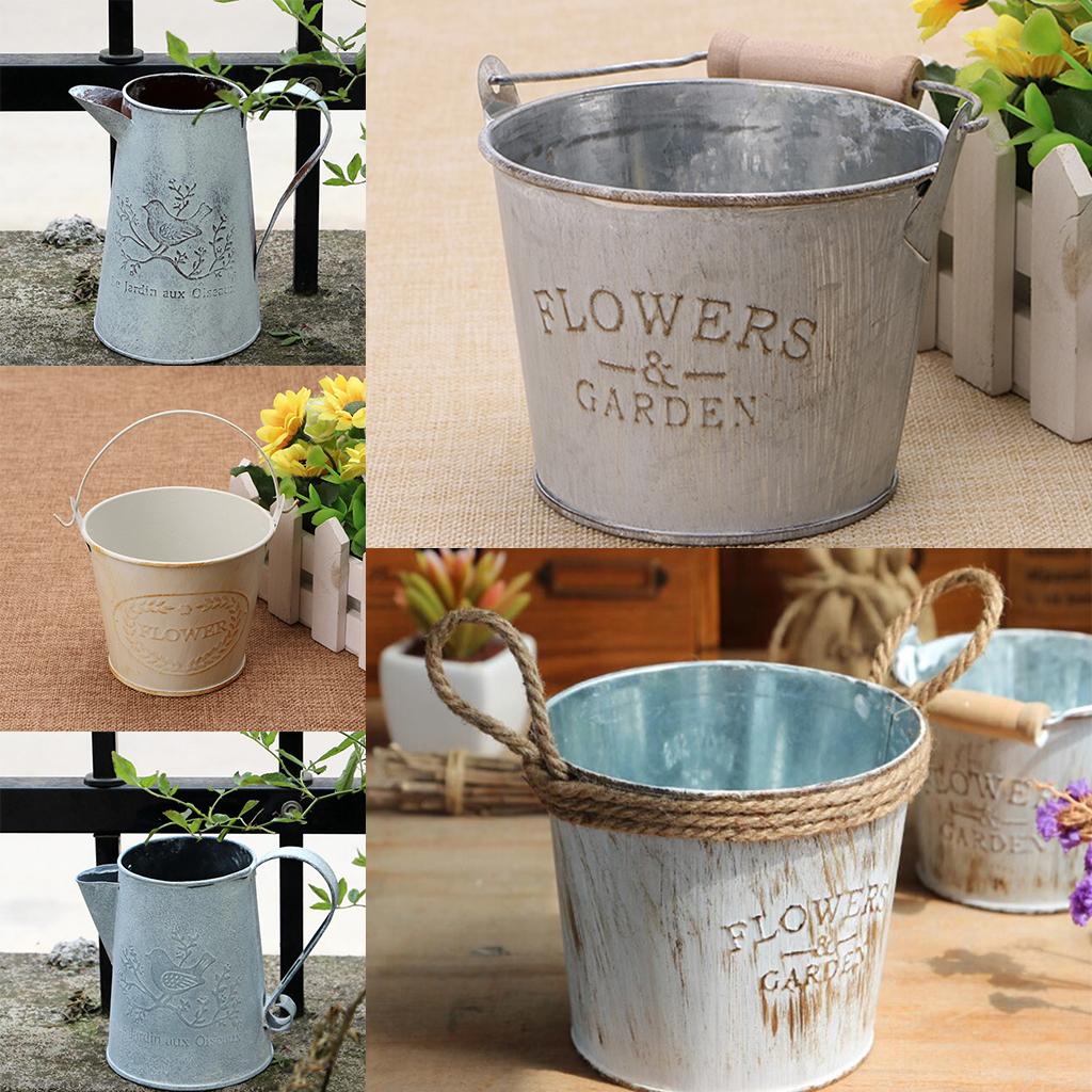 Antique Metal Bucket Herb Flow - Pilea Peperomioides のレビューと価格