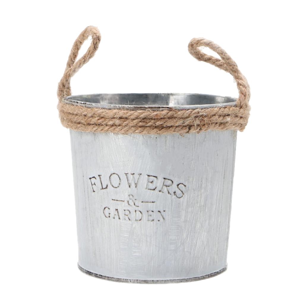 Antique Metal Bucket Herb Flow - Pilea Peperomioides のレビューと価格