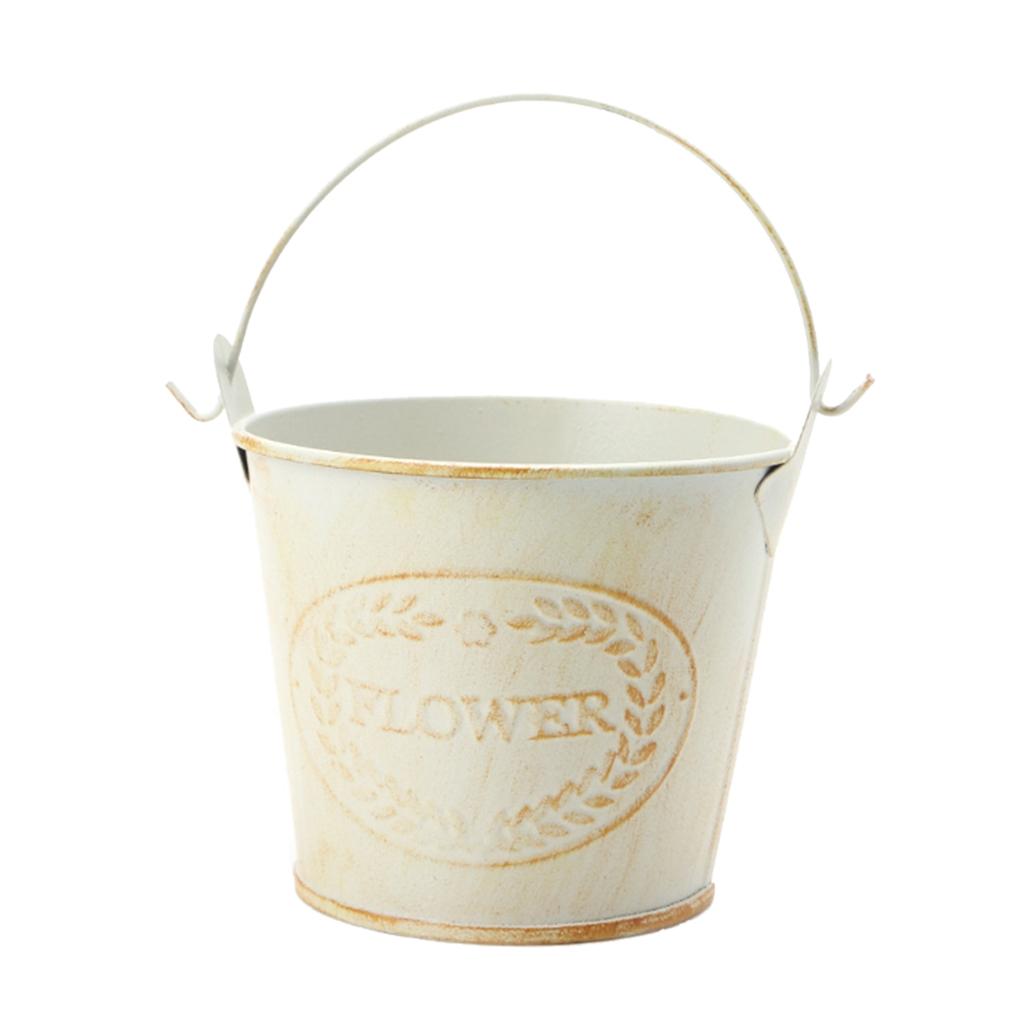 Antique Metal Bucket Herb Flow - Pilea Peperomioides のレビューと価格