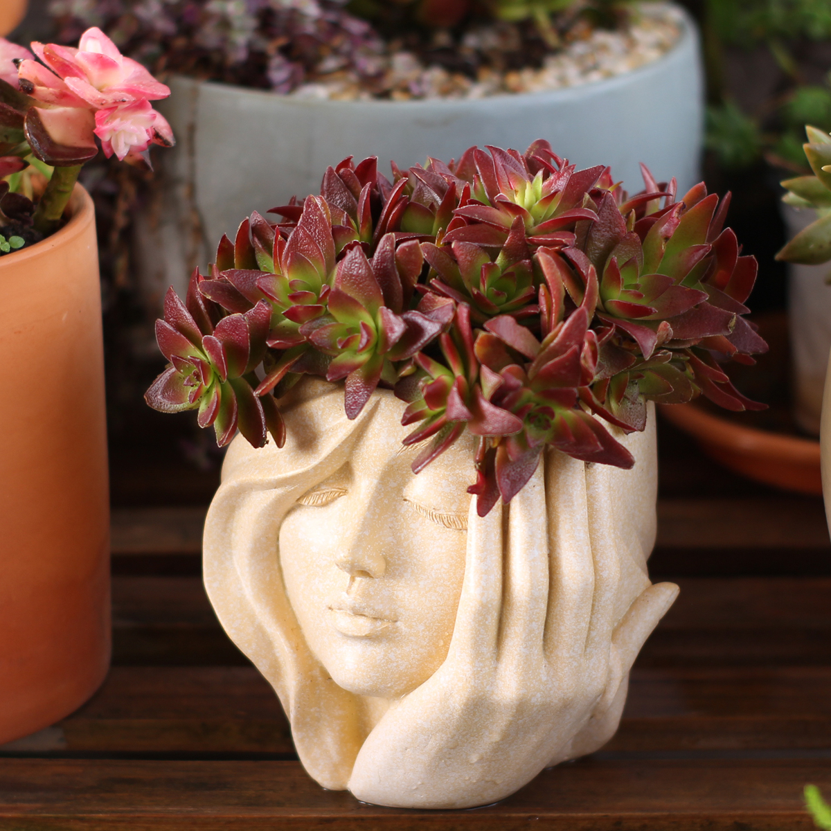 Face-Shaped Flower Pot Suitabl - Pilea Peperomioides のレビューと価格