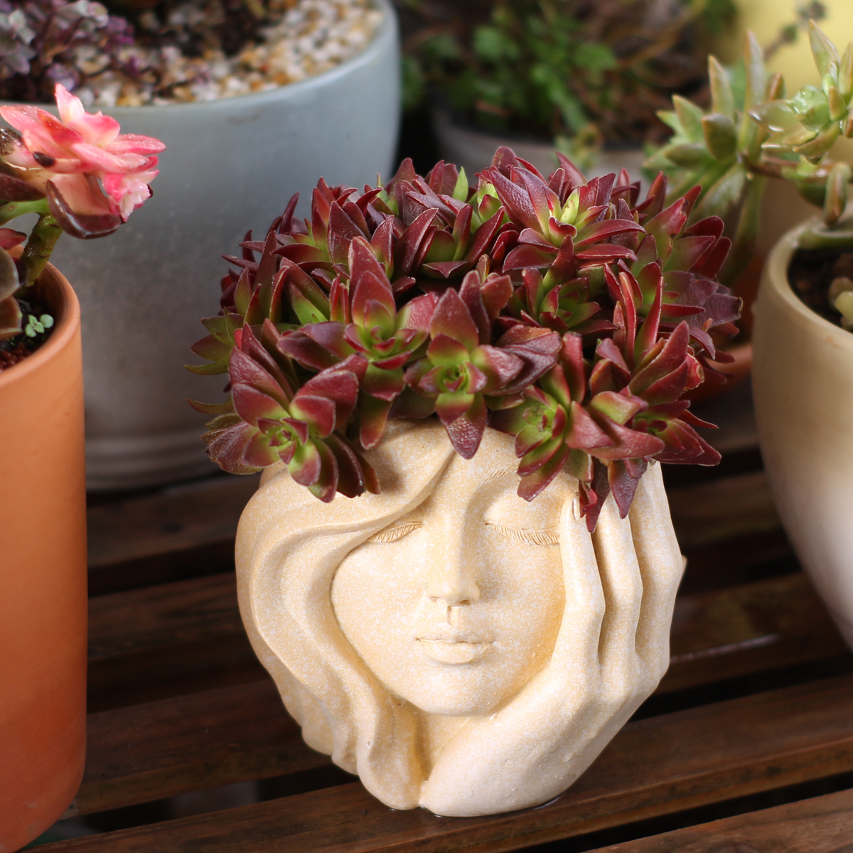 Face-Shaped Flower Pot Suitabl - Pilea Peperomioides のレビューと価格