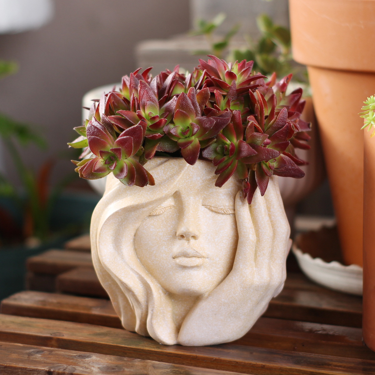 Face-Shaped Flower Pot Suitabl - Pilea Peperomioides のレビューと価格
