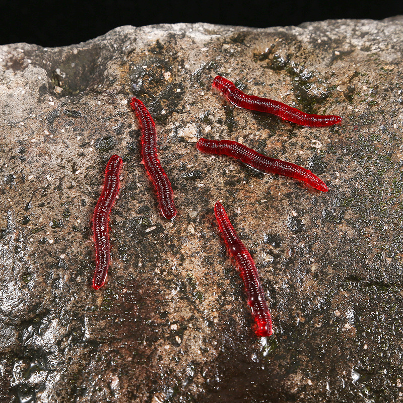 CIBO 50pcs-Artificial Red Worm - Aglaonema Red のレビューと価格