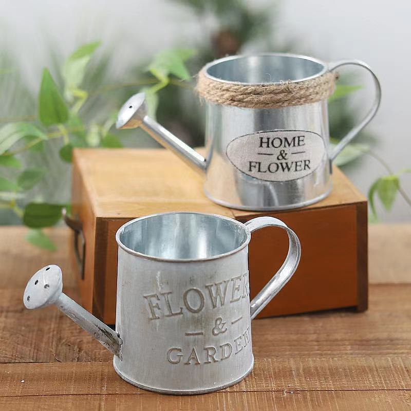Barrels Garden Decoration Tin  - Pilea Peperomioides のレビューと価格