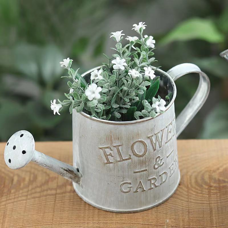 Barrels Garden Decoration Tin  - Pilea Peperomioides のレビューと価格