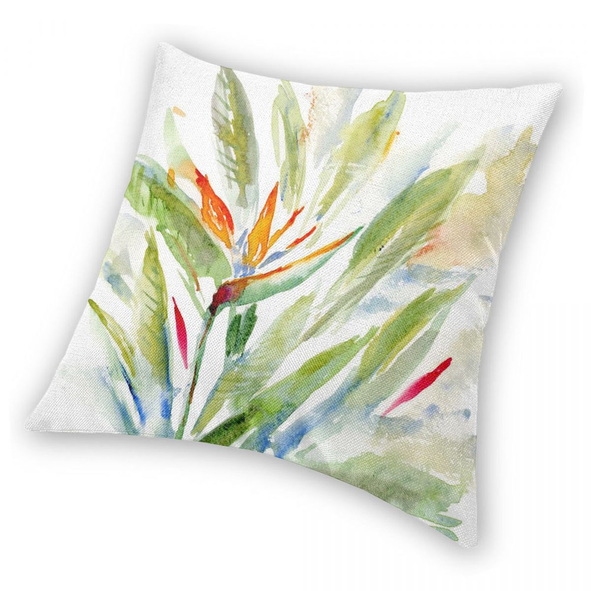 Bird Of Paradise Strelitzia Sq - Bird Paradise Strelitzia のレビューと価格