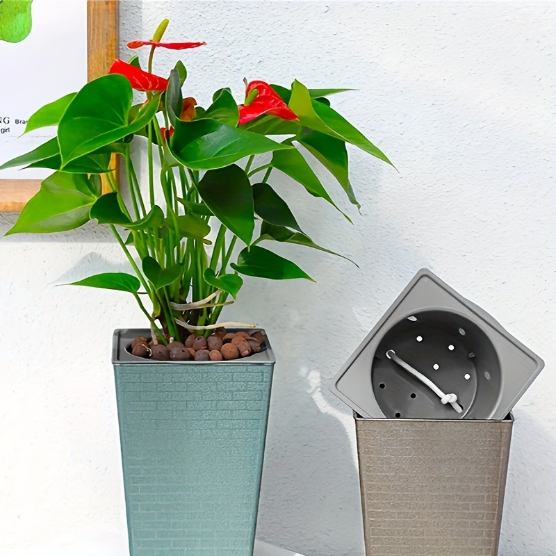 Plastic Brick Pattern Flowerpo - Pilea Peperomioides のレビューと価格
