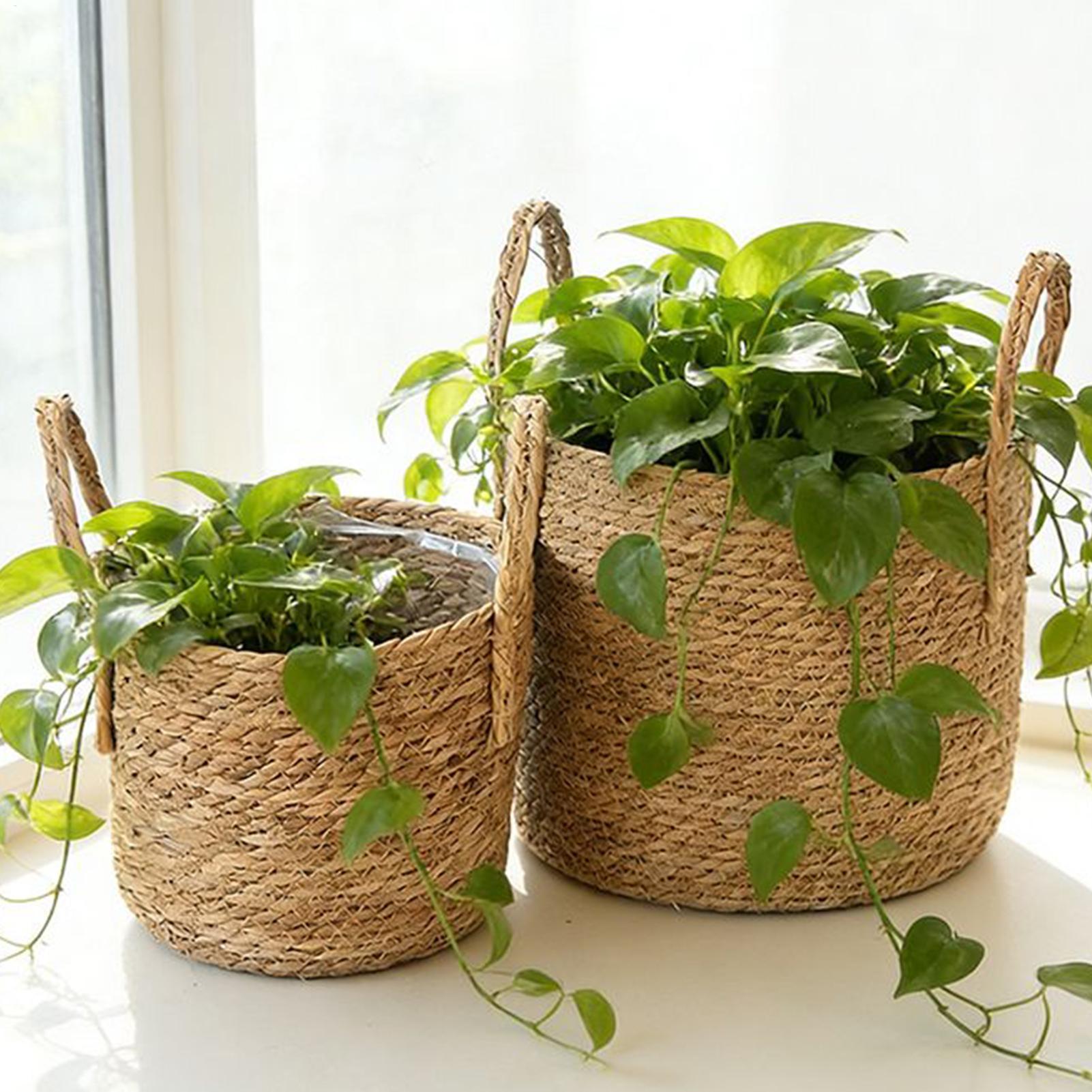 Planter Basket Straw Flowerpot - Pilea Peperomioides のレビューと価格