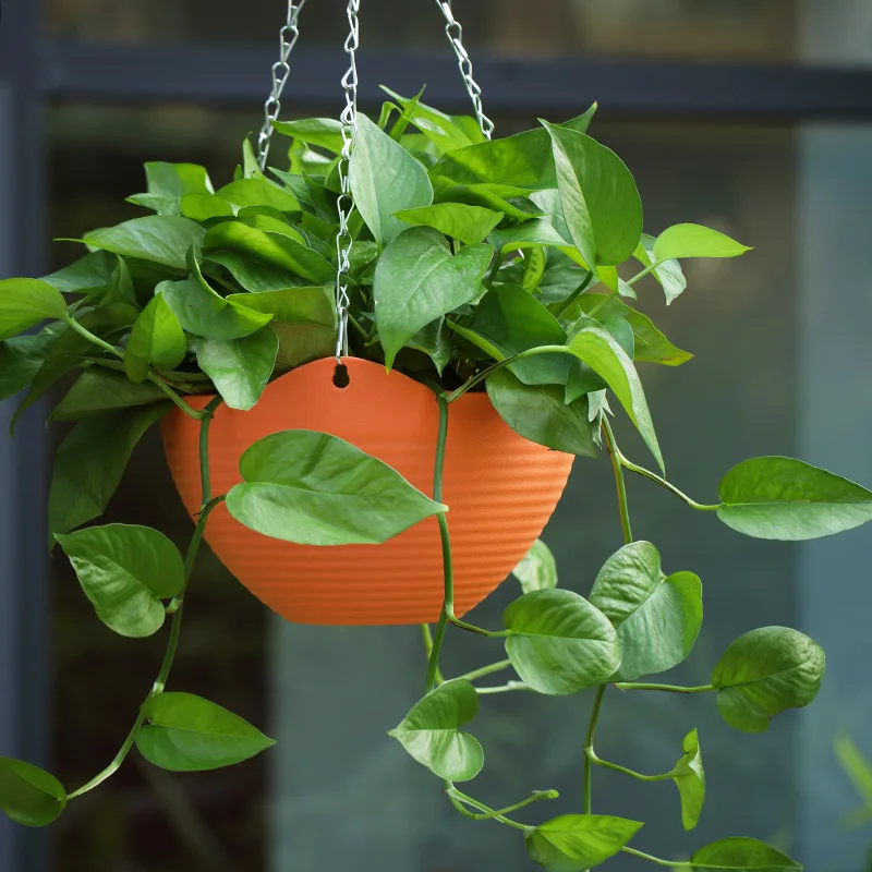 Creative Chinese Ceramic Flowe - Pilea Peperomioides のレビューと価格