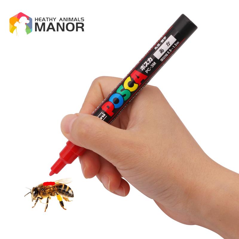 1Pcs Beekeeping Mark Pen Queen - Begonia Rex のレビューと価格