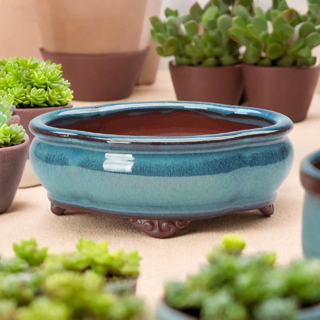 Ceramic Succulent Flower Pot C - Pilea Peperomioides のレビューと価格